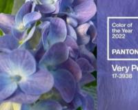 Az év Színe 2022-ben a Very Peri